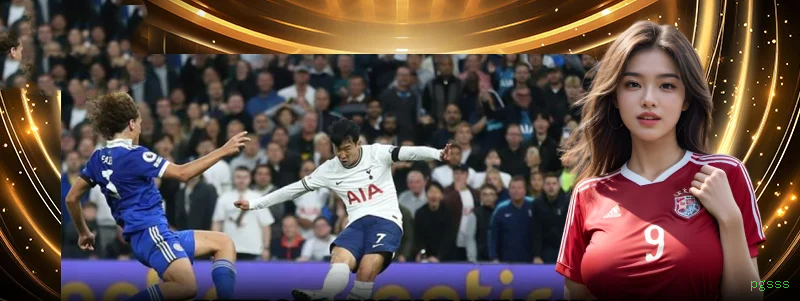 Provedores Cassino Ao Vivo